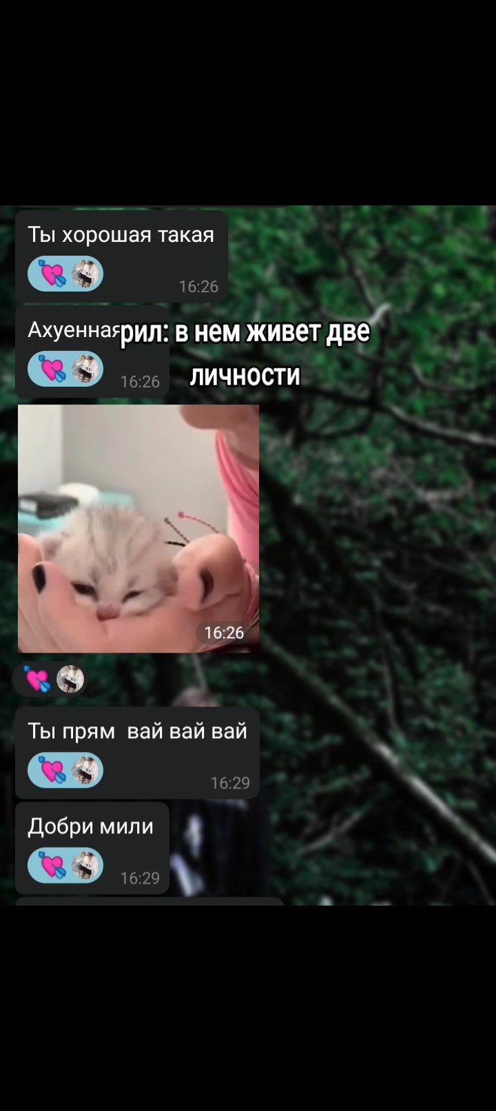 @тгк: темная кровь
