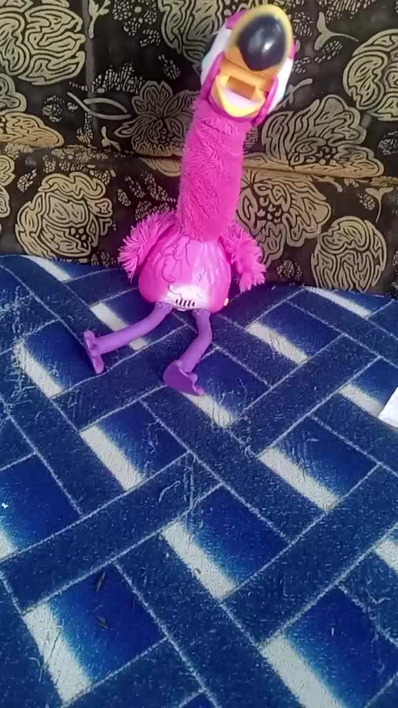 @caleb omwaka