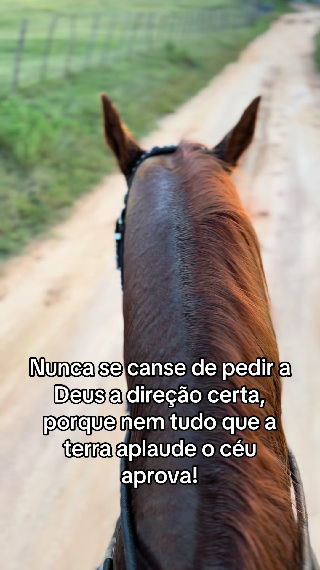 @Luiz Henrique