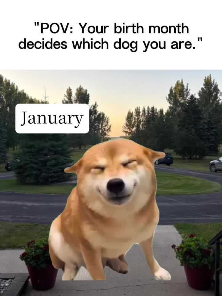 @JustJ'anna