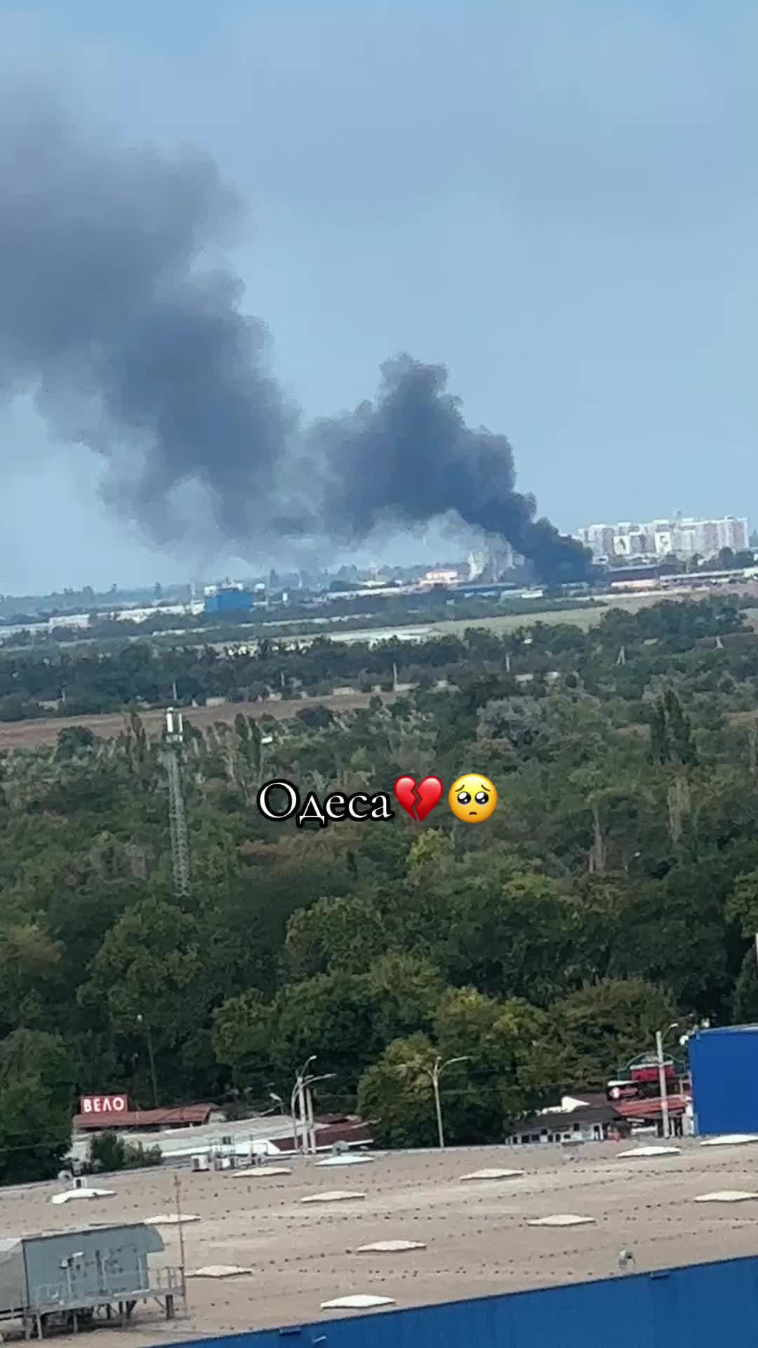 @❤️🔥Виктория✅