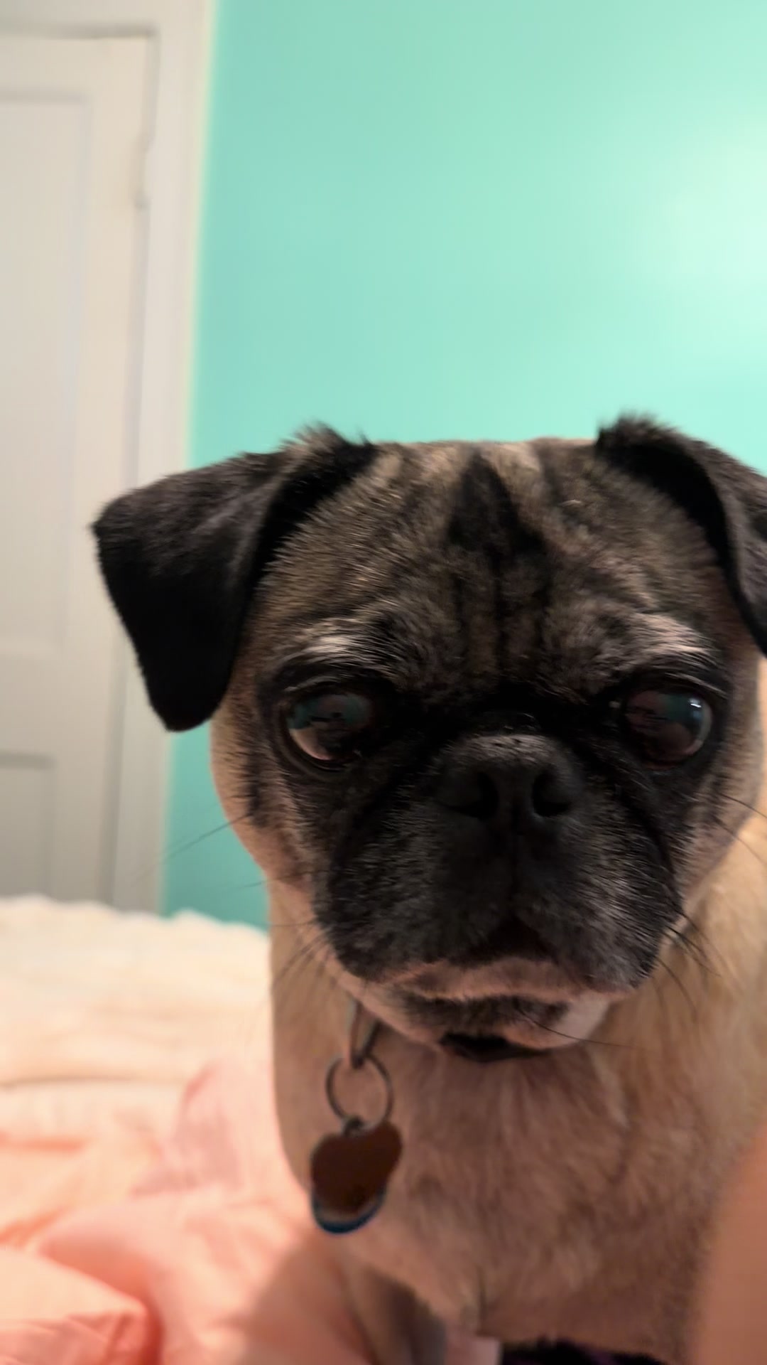 @NEWT-DAILYVLOG