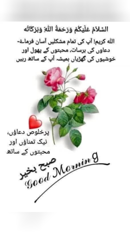 @Allah ki laadli🥰💯🫀