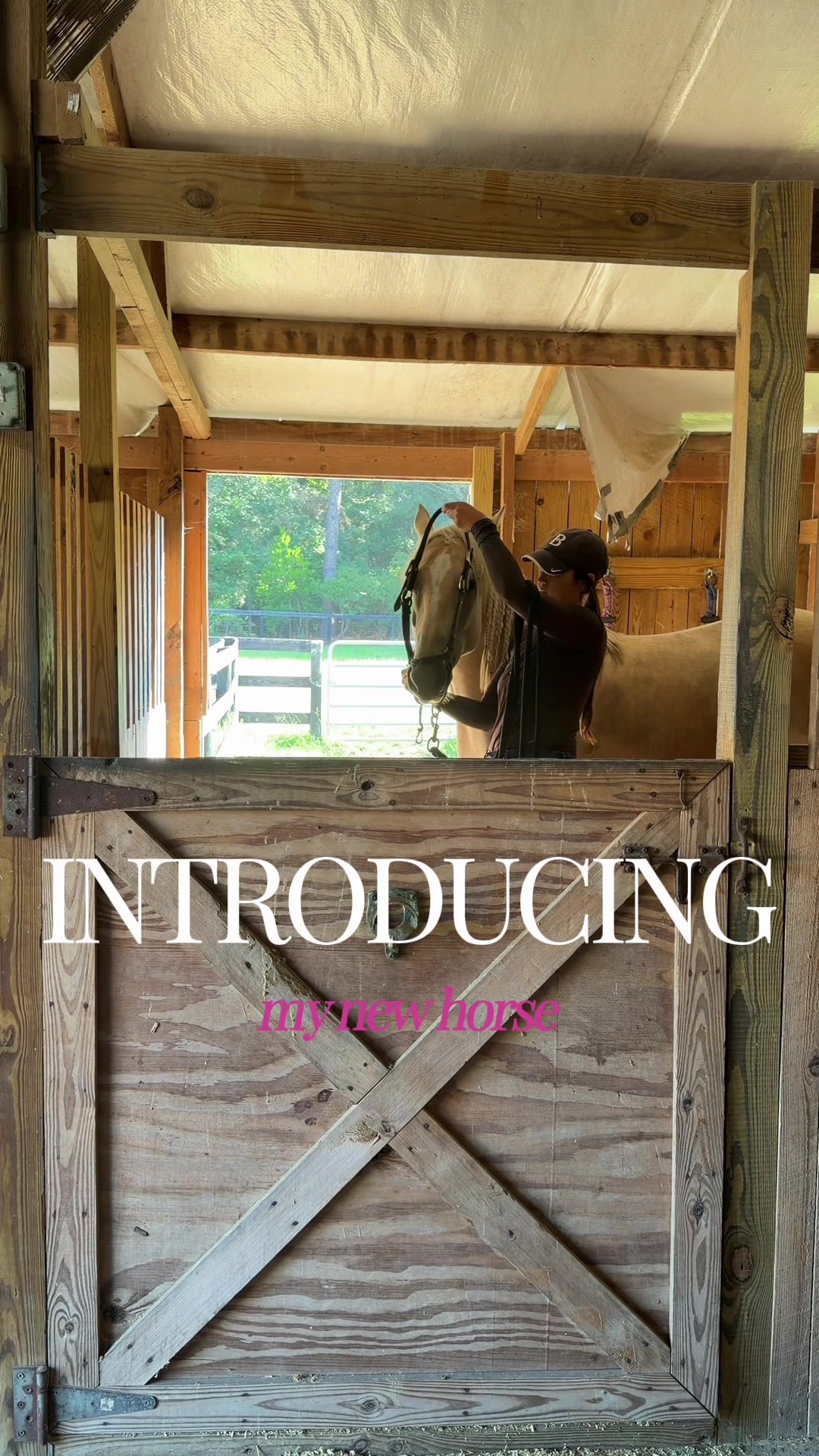 @corderoequine