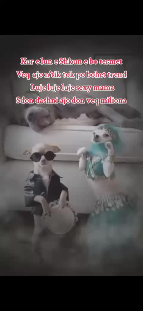 @⇄ ◀ 𓊕 ▶ ↻