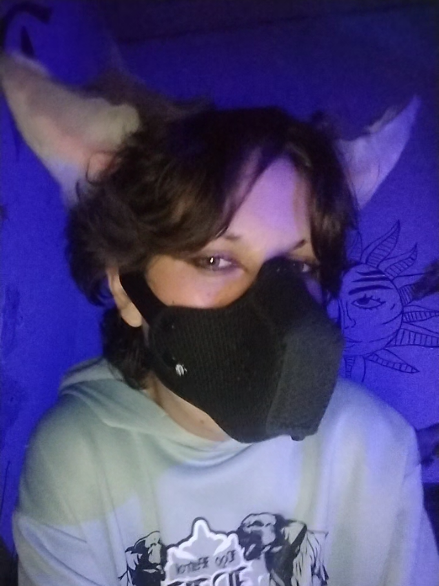 @𐂯✮⋆𝙷𝚞𝚙𝚘𝚕˙𓃡₊˚⊹🐾