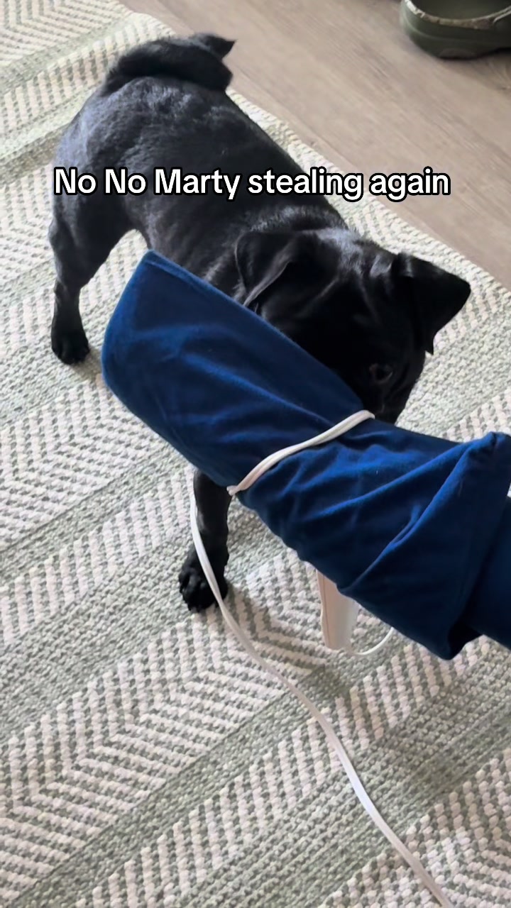 @ThreeCrustyPugs