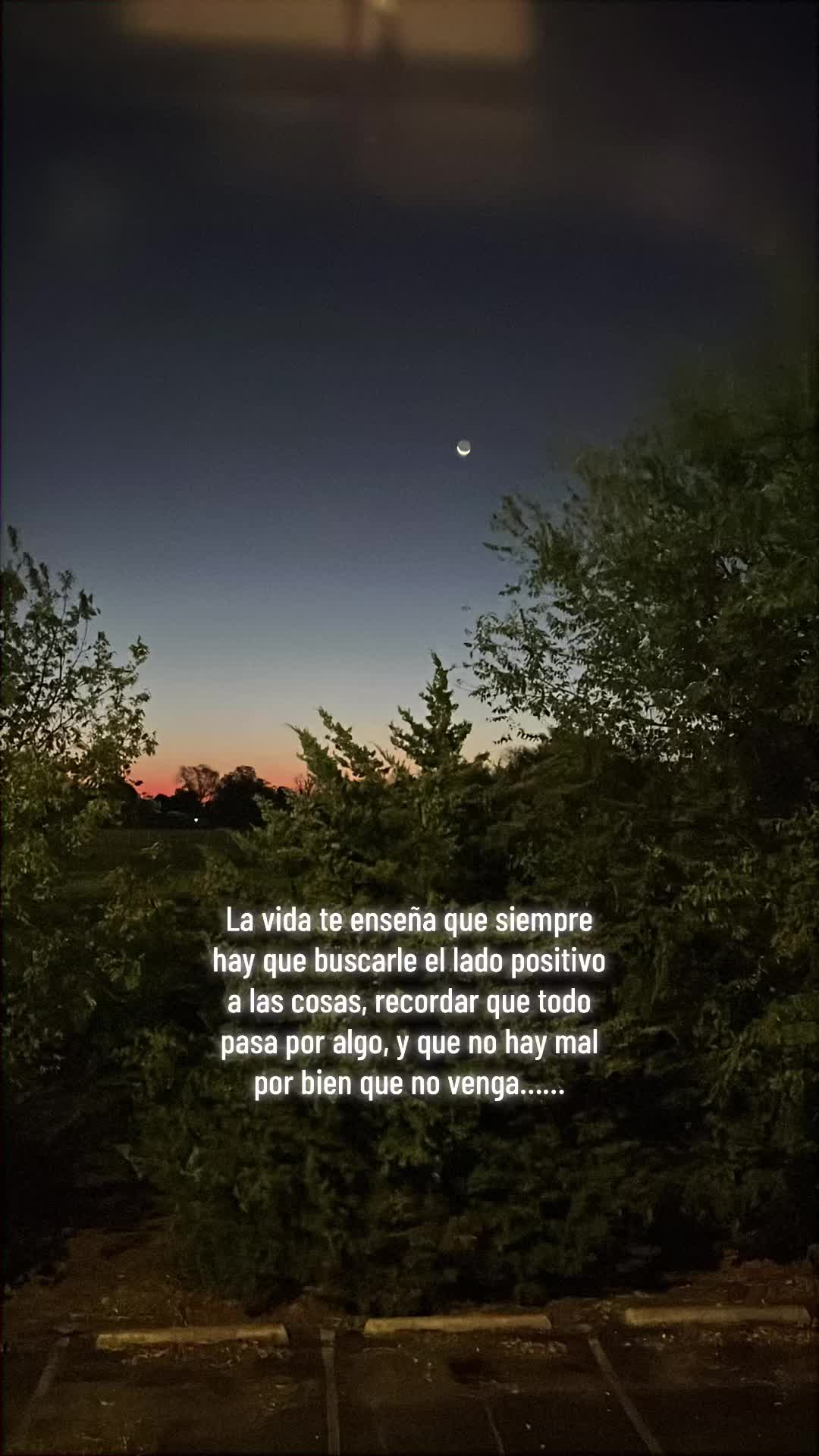 @Bibi