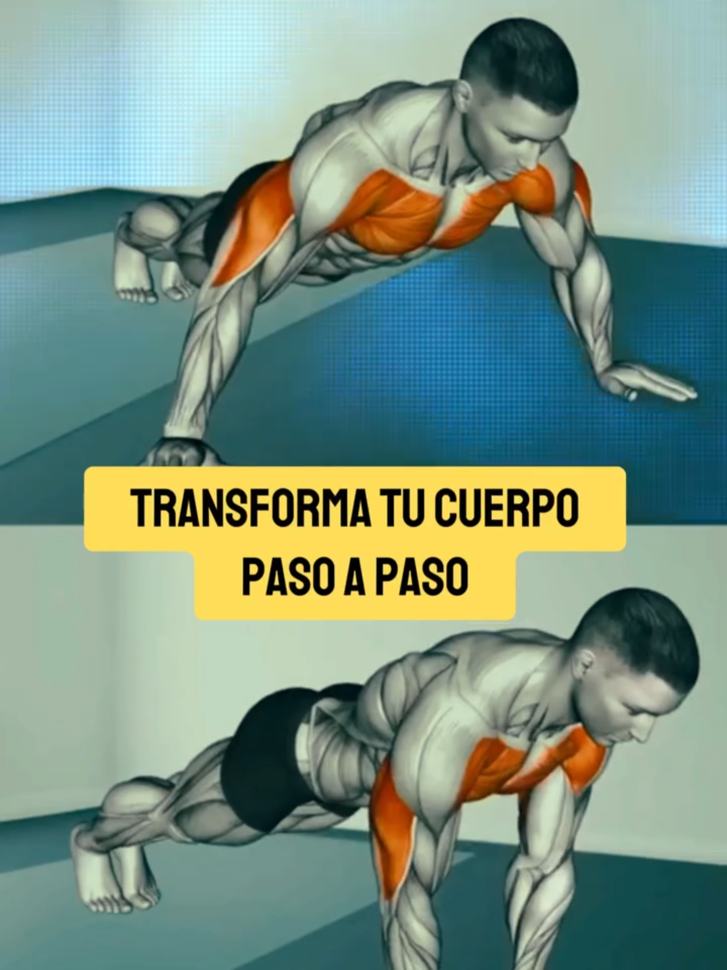 @Calistenia 360 academy