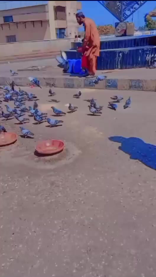@ShahRukh Ansari
