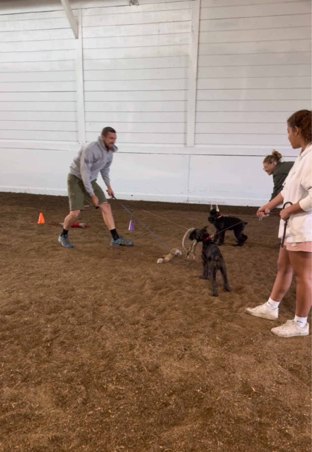 @Protection Dog Sales