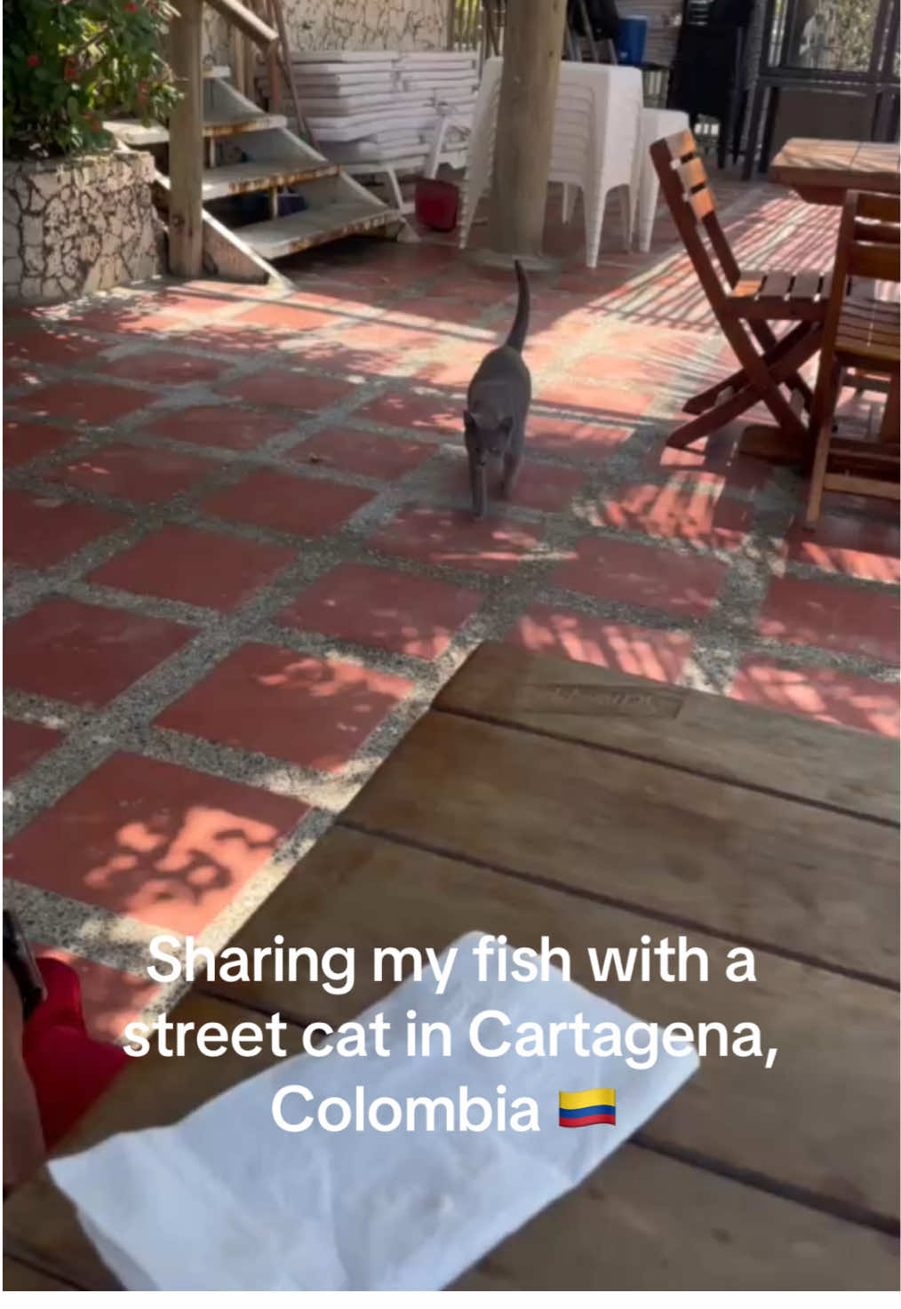 @CubanMuffin