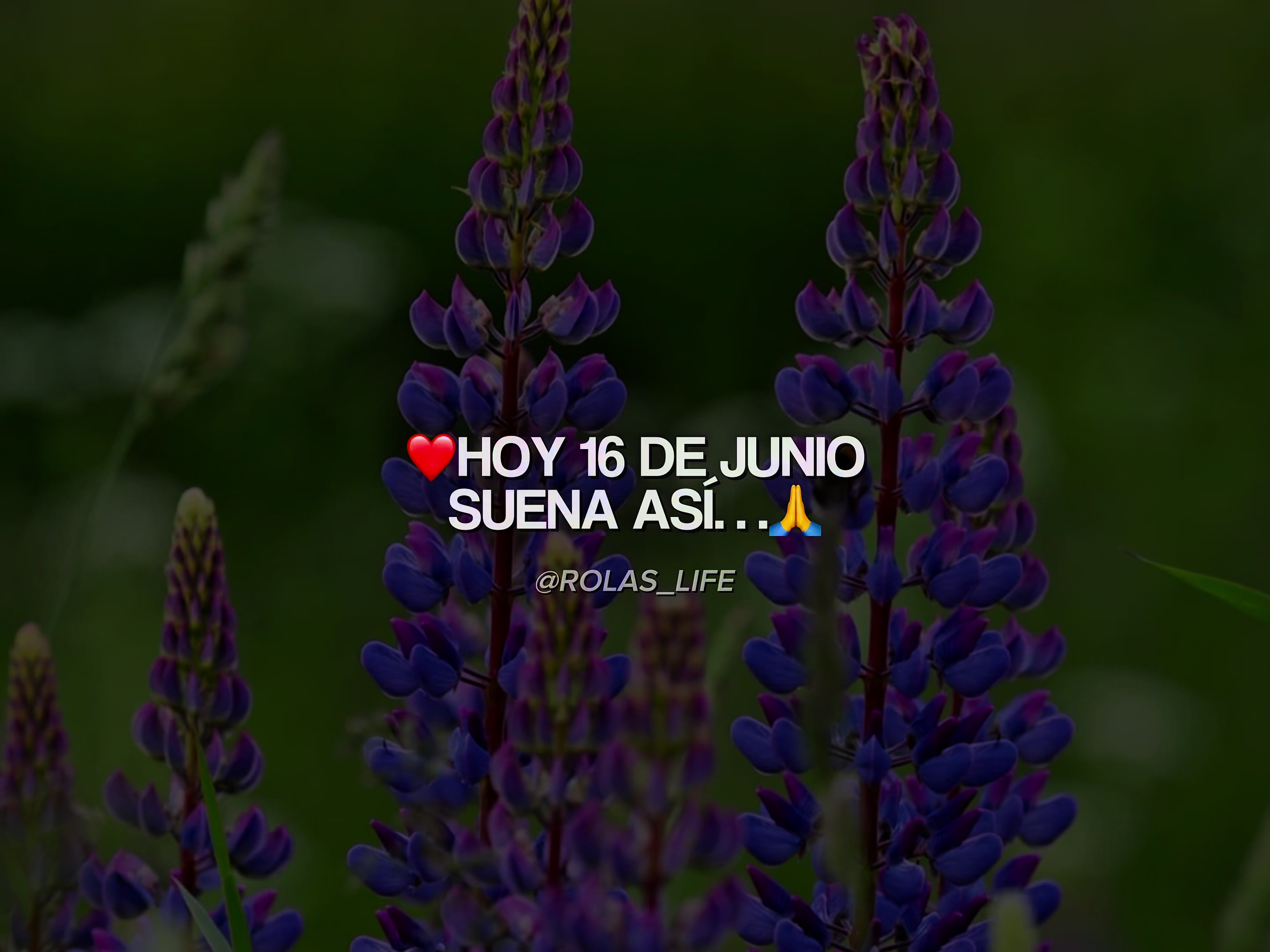 @𝐑𝐨𝐥𝐚𝐬 𝐥𝐢𝐟𝐞