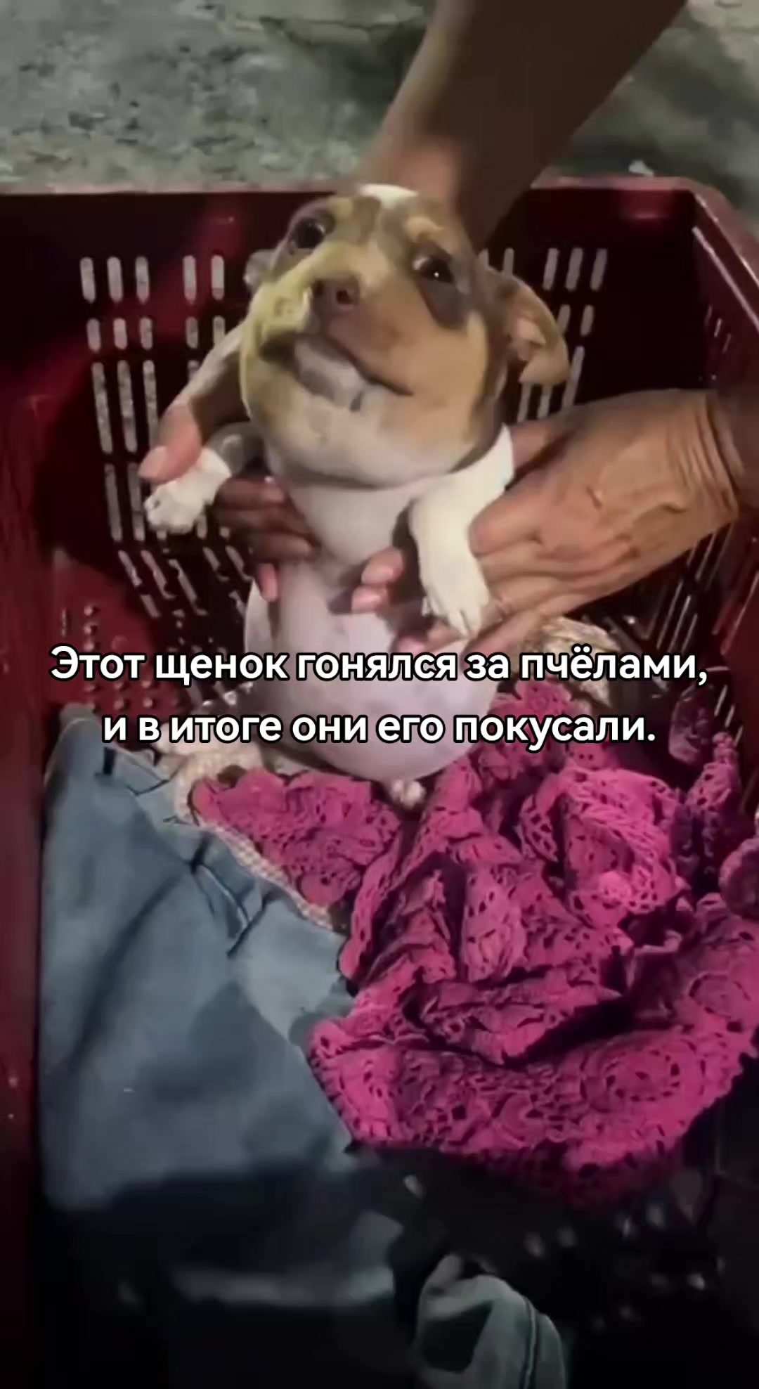 @по жести