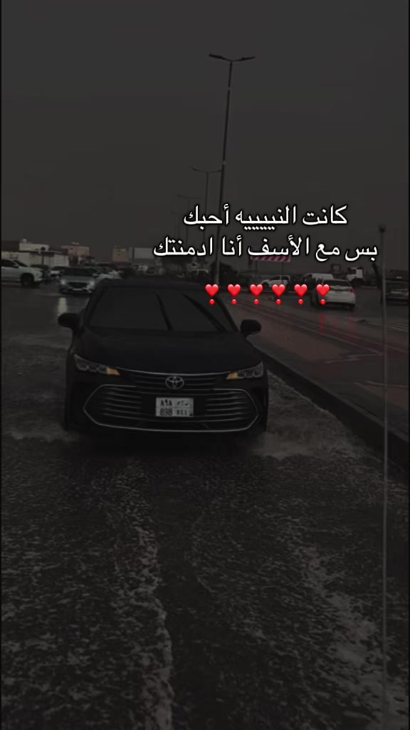 @تايقر- Tiger🌟