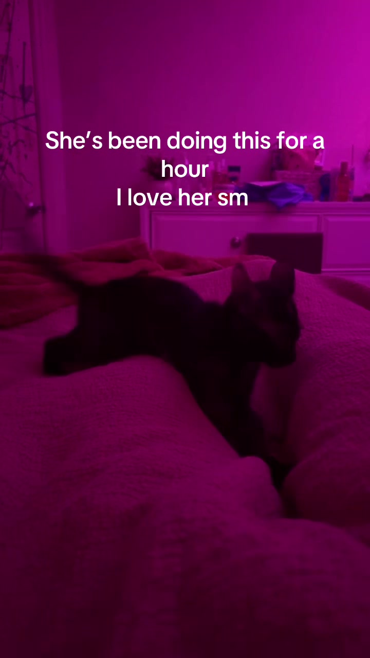 @ilovepink444222