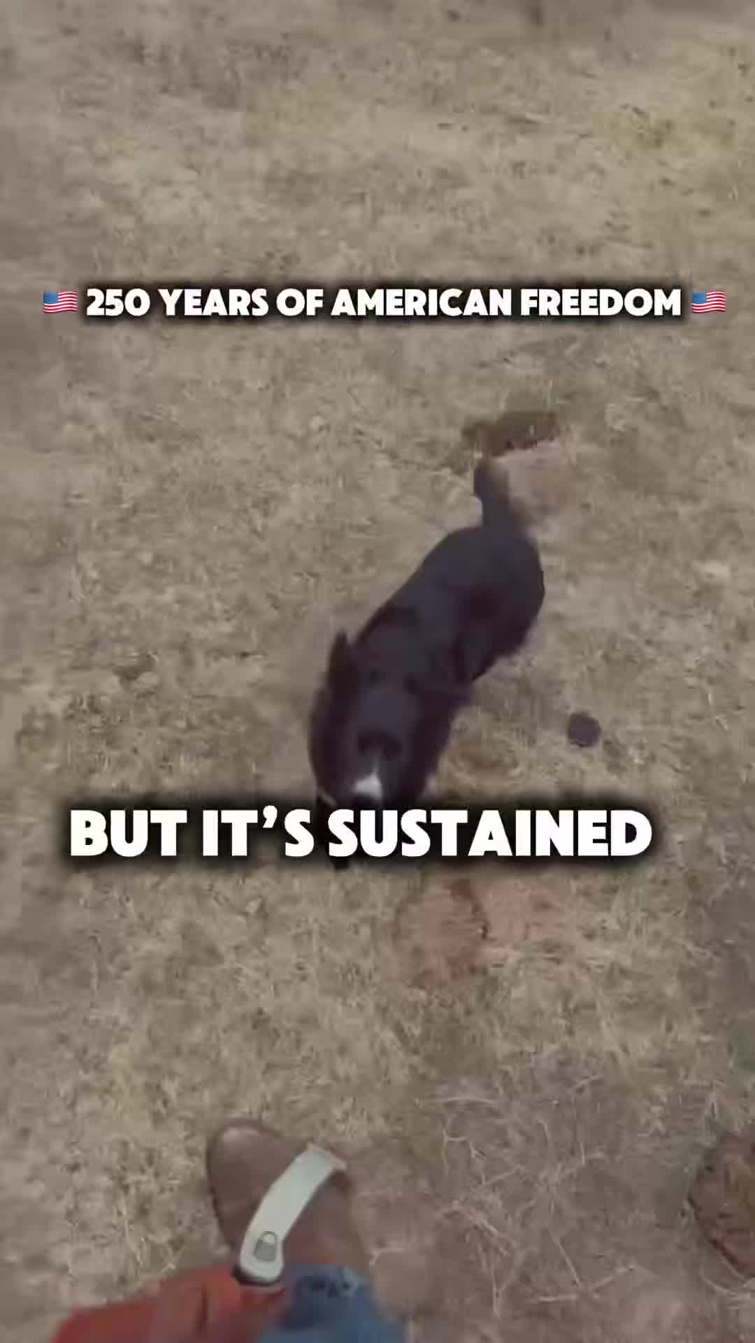 @American Rancher 🤠🇺🇸🥩