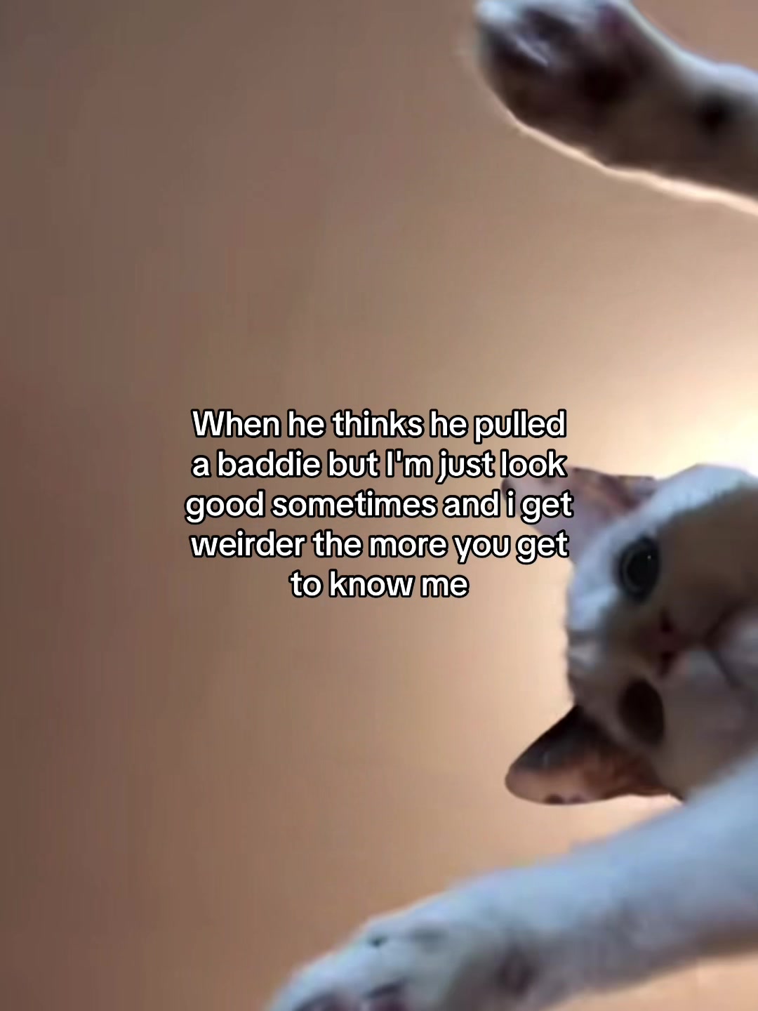 @Alice.cattok