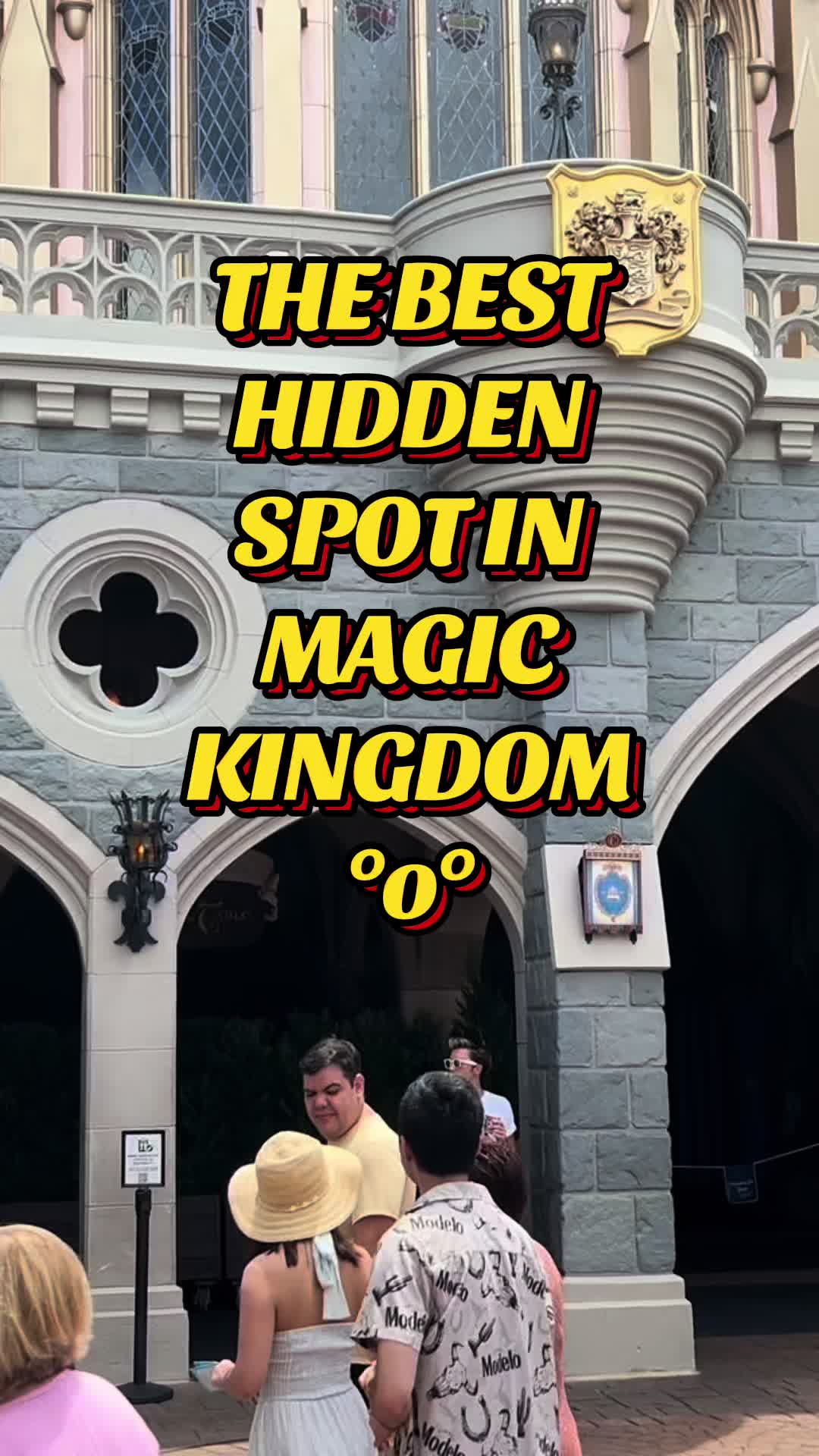 @lifetimeofmagic