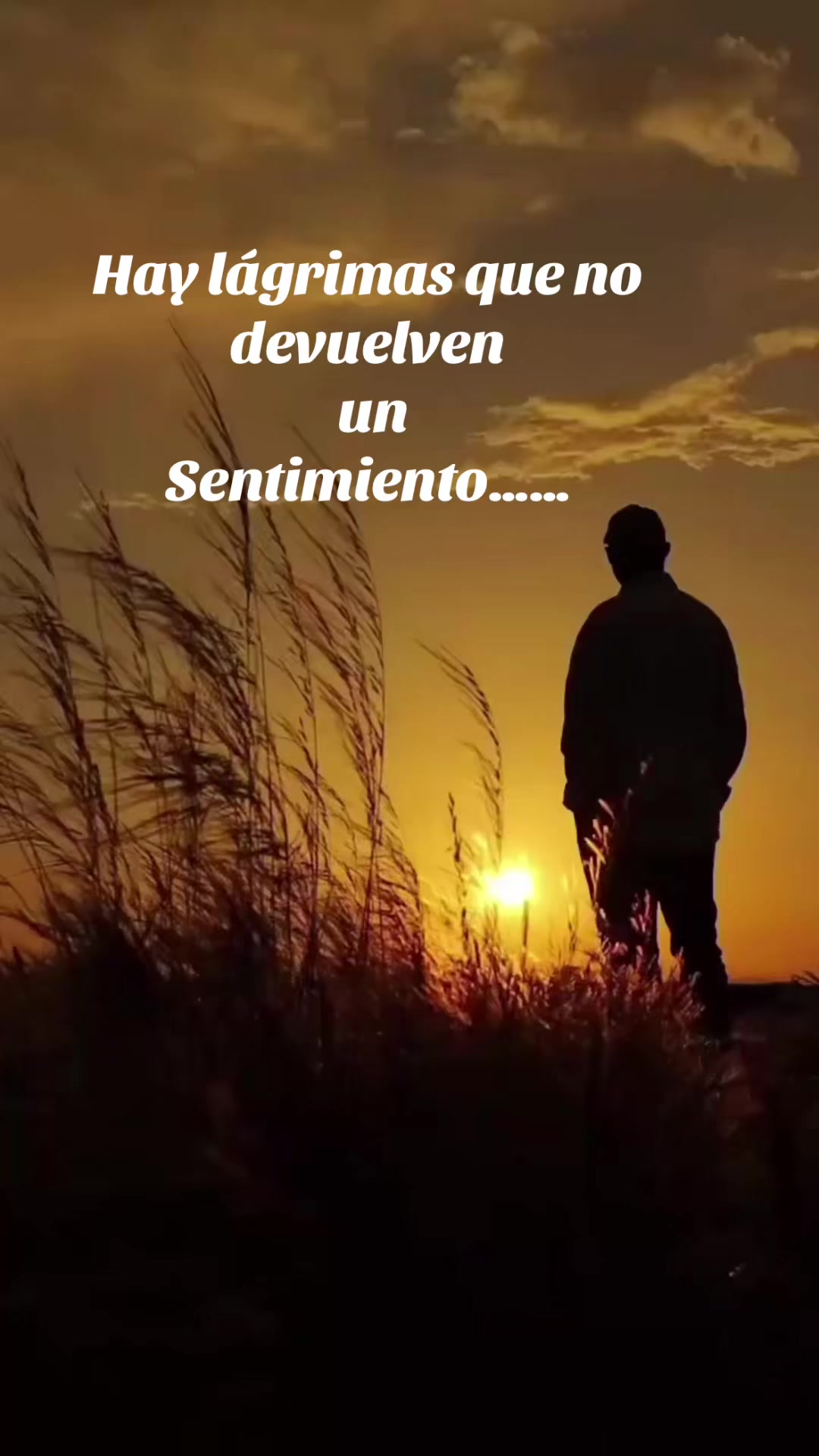 @Raul1961
