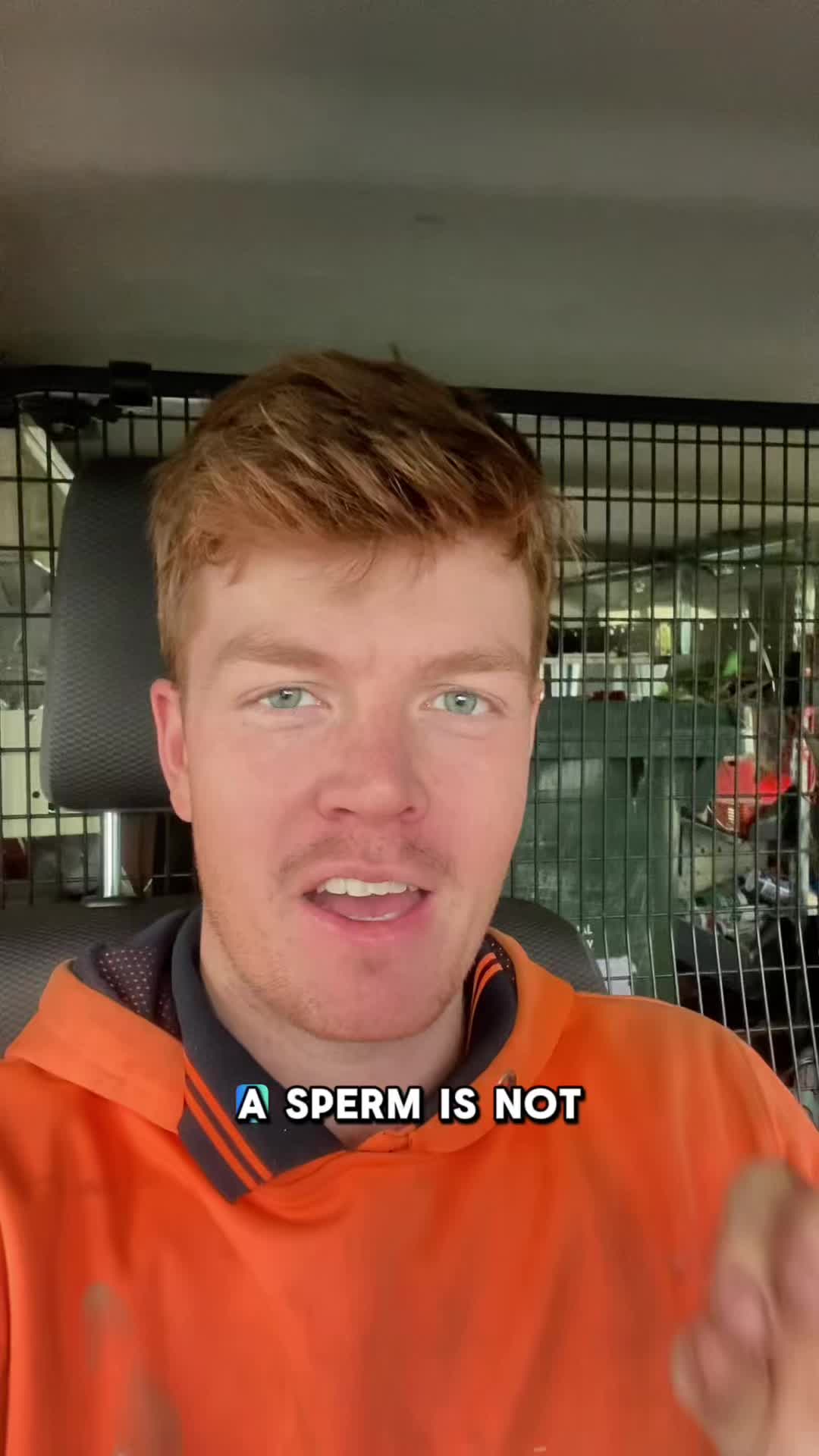 @TradiesForBabies