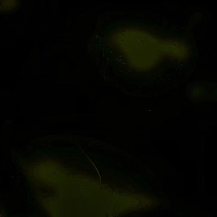 @𝐎𝐧𝐥𝐲𝐒𝐨𝐧𝐠𝐬