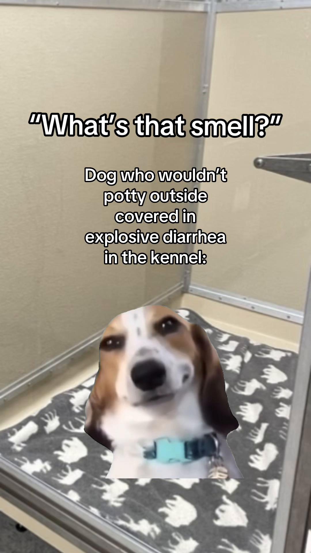 @Snodgrass Vet