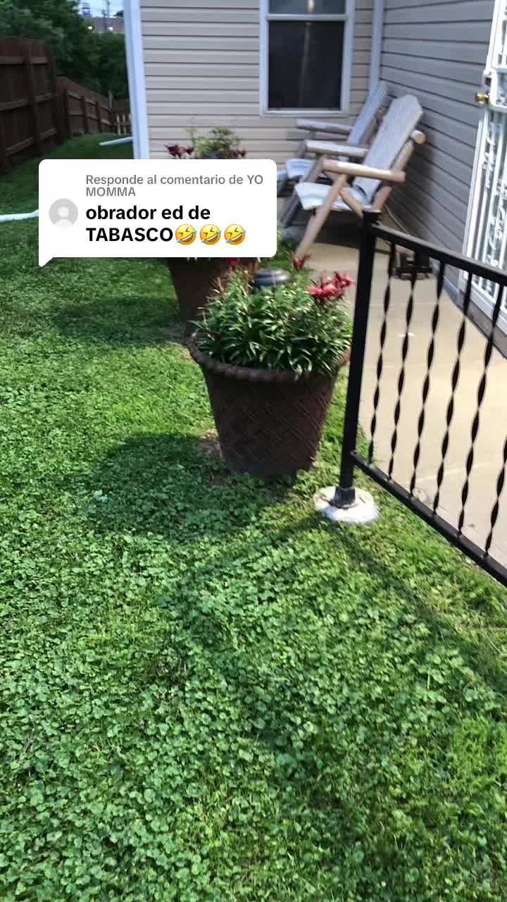 @Apocalypto Chucho Ga