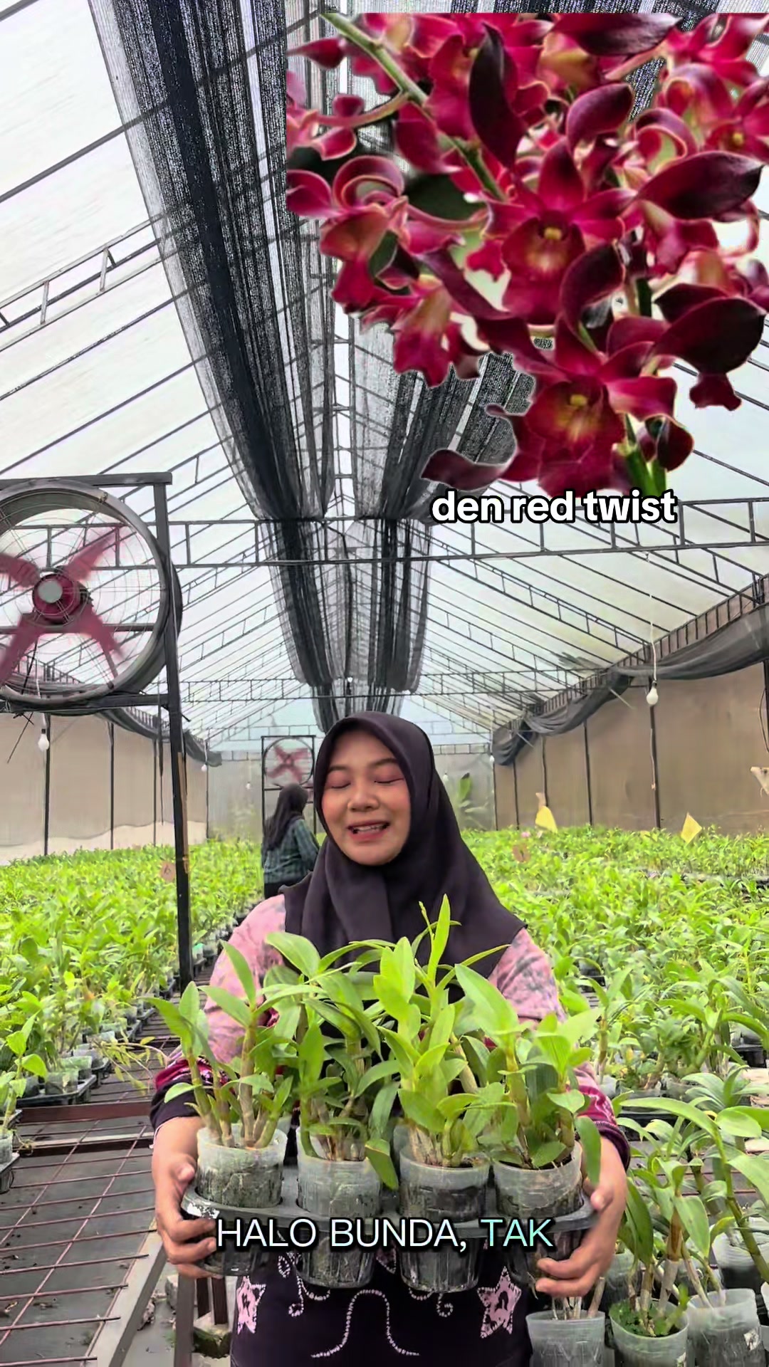 @Griya sekarindo utama