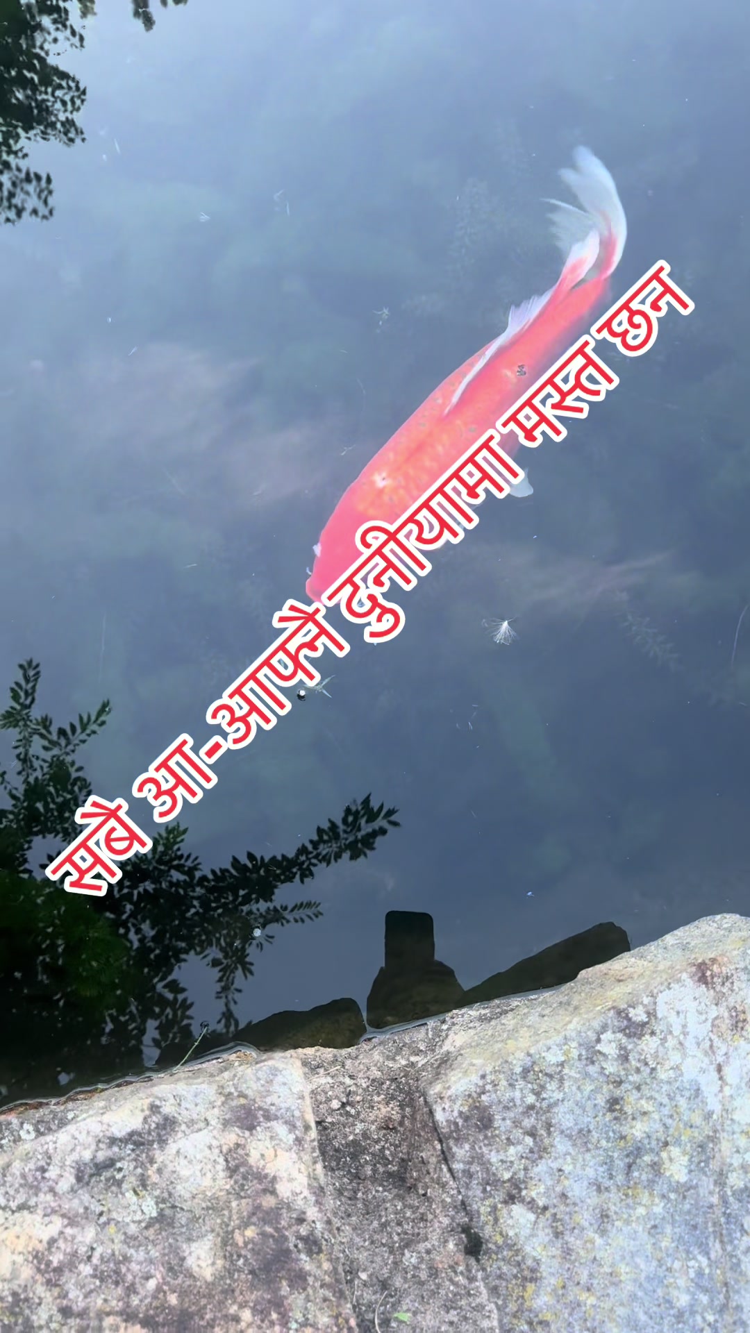 @Joshi gopal 2026