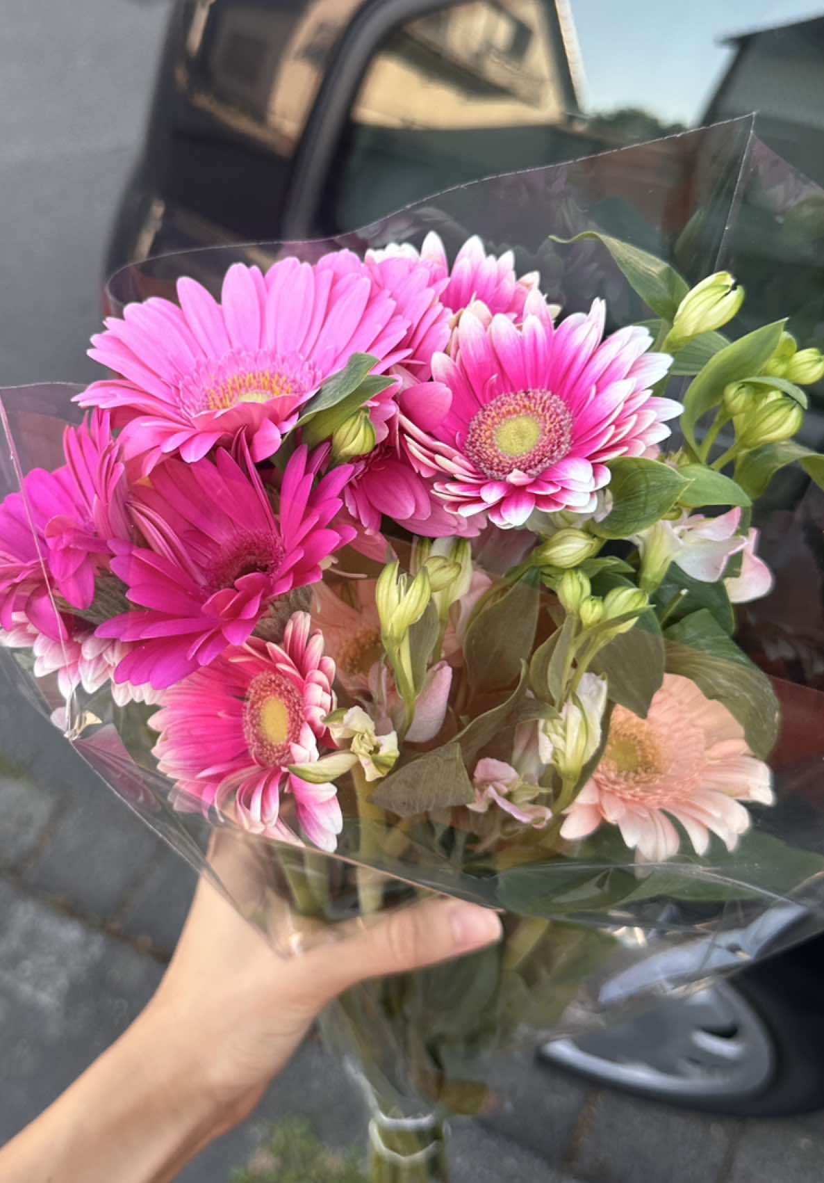 @Sarsouuura🌸