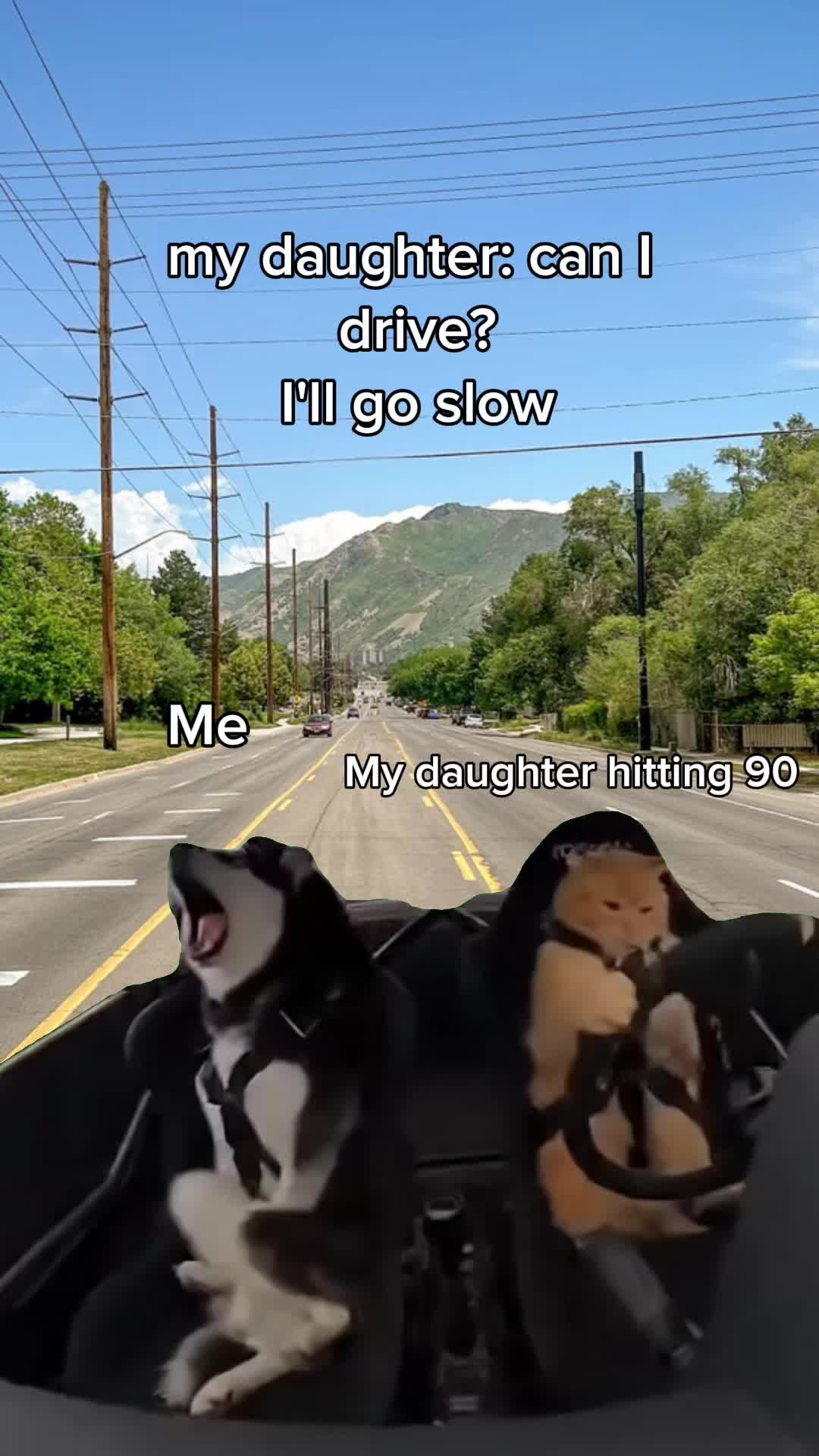 @chrissy