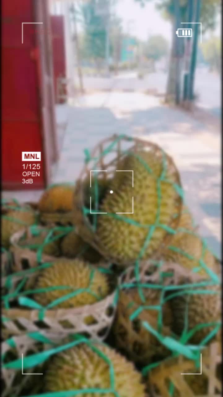 @Kenzhi Durian Tuban