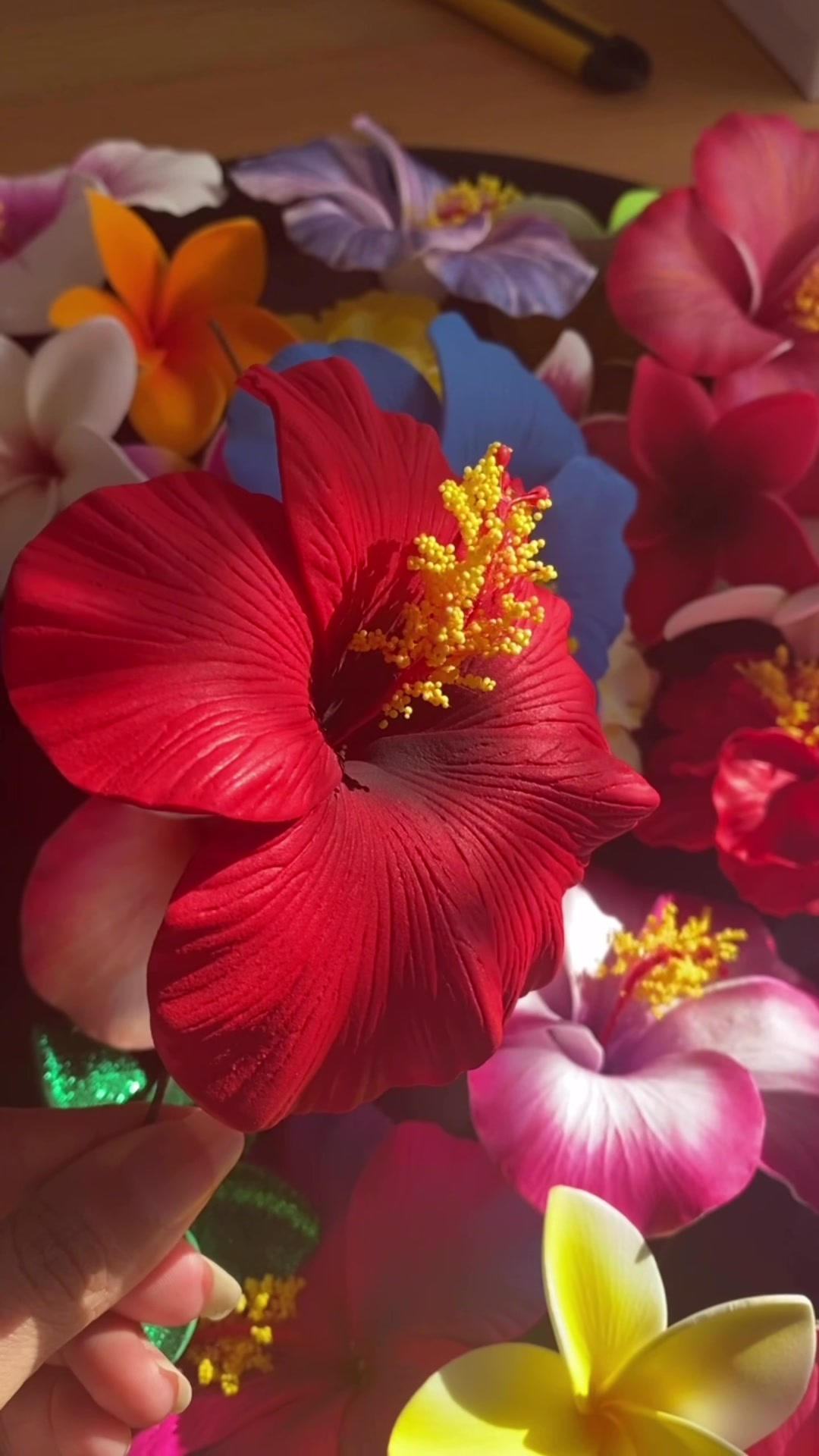 @Island Aesthetica ๐บ