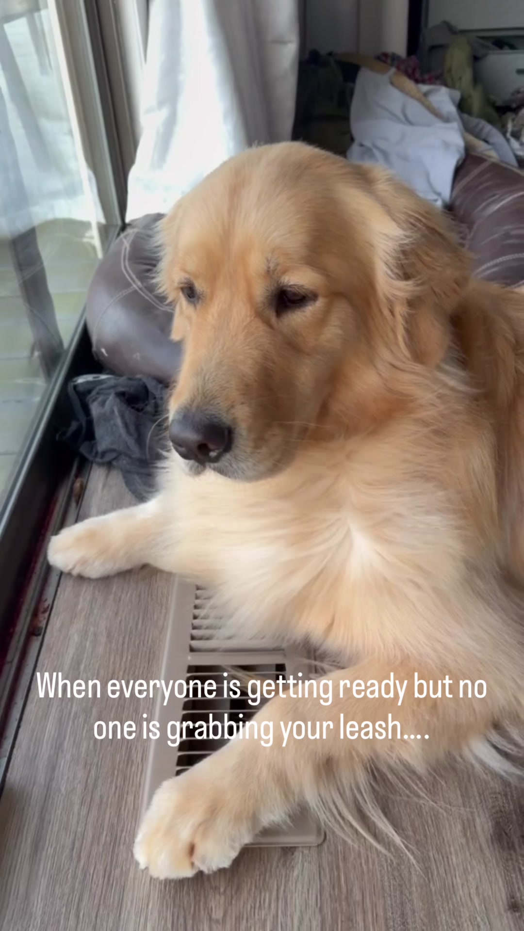 @DogMomisms
