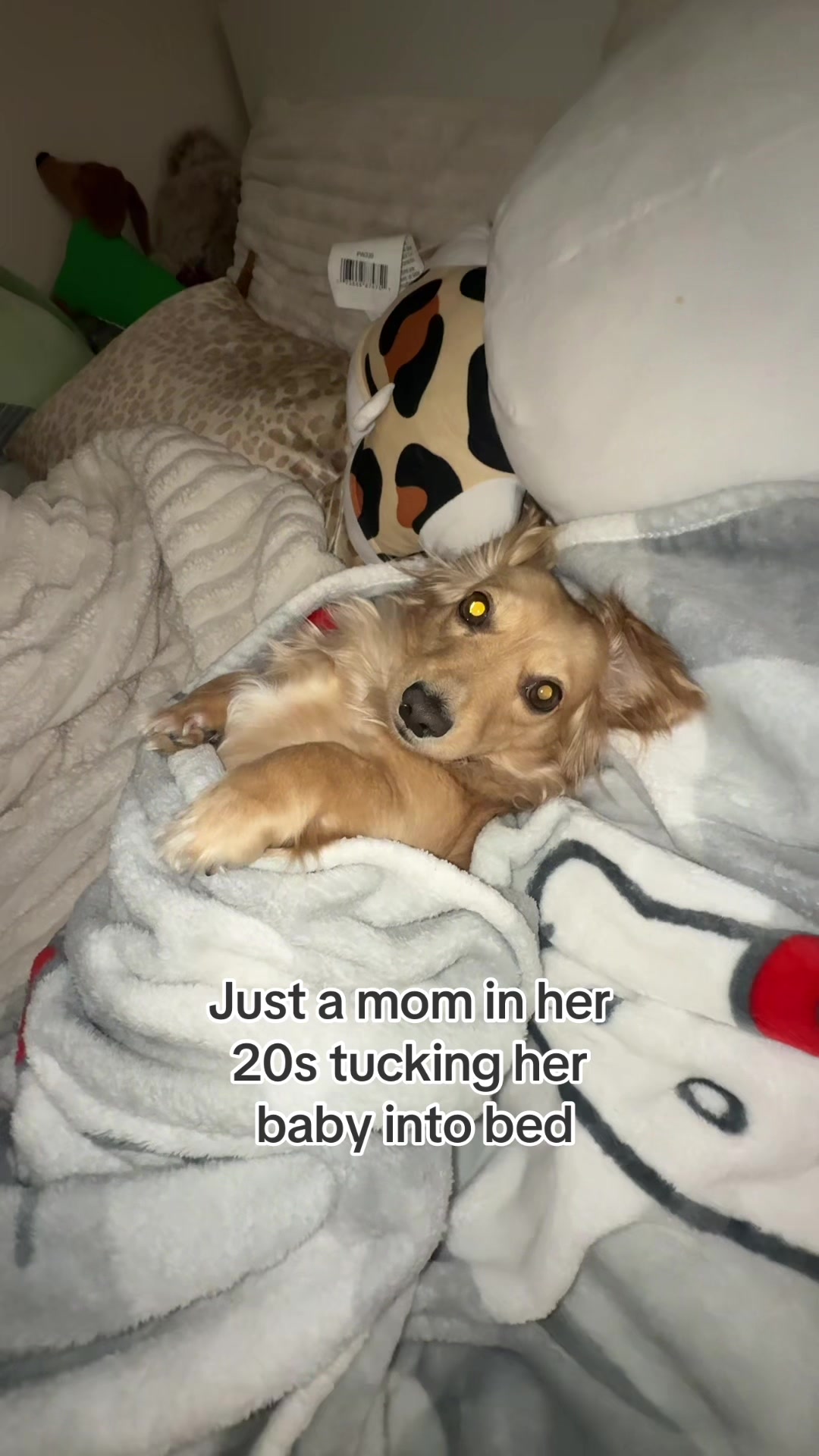 @maddssshits
