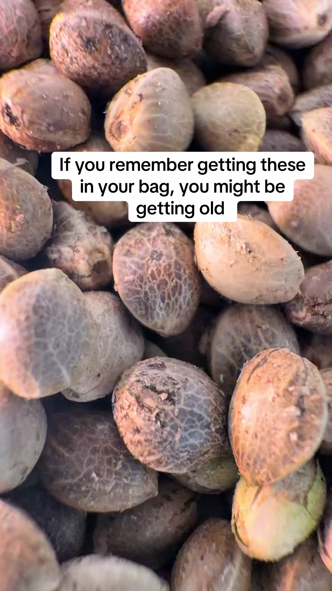 @SEEDTIVA
