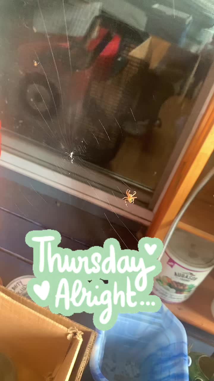 @AprilMay🐉💫