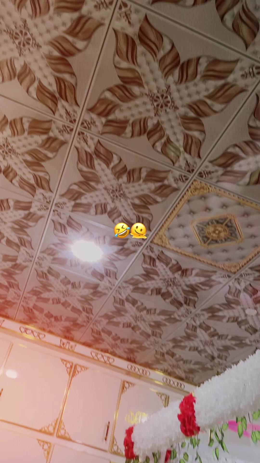 @shayanahmad733