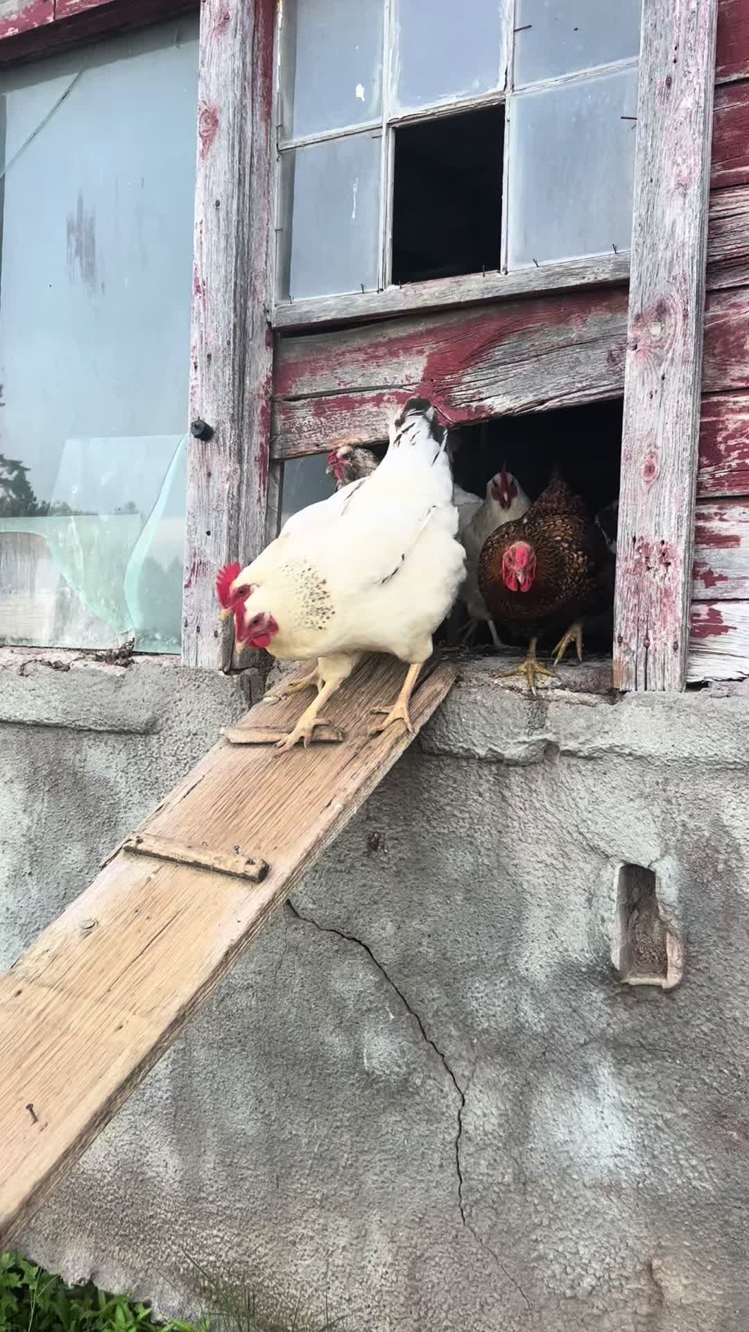 @littlesandycreekfarm