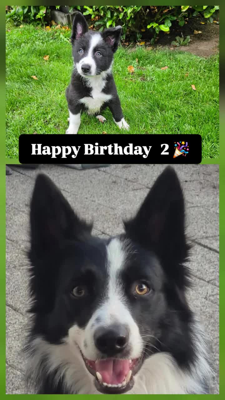@dreamteam.agility