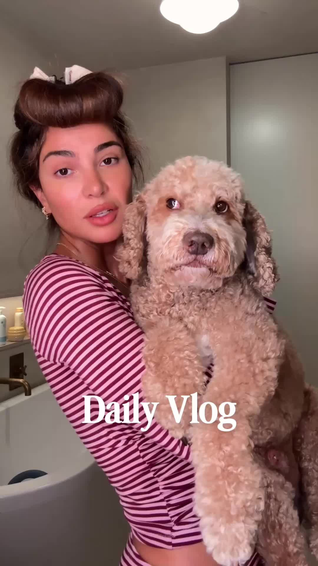 @Negin Mirsalehi