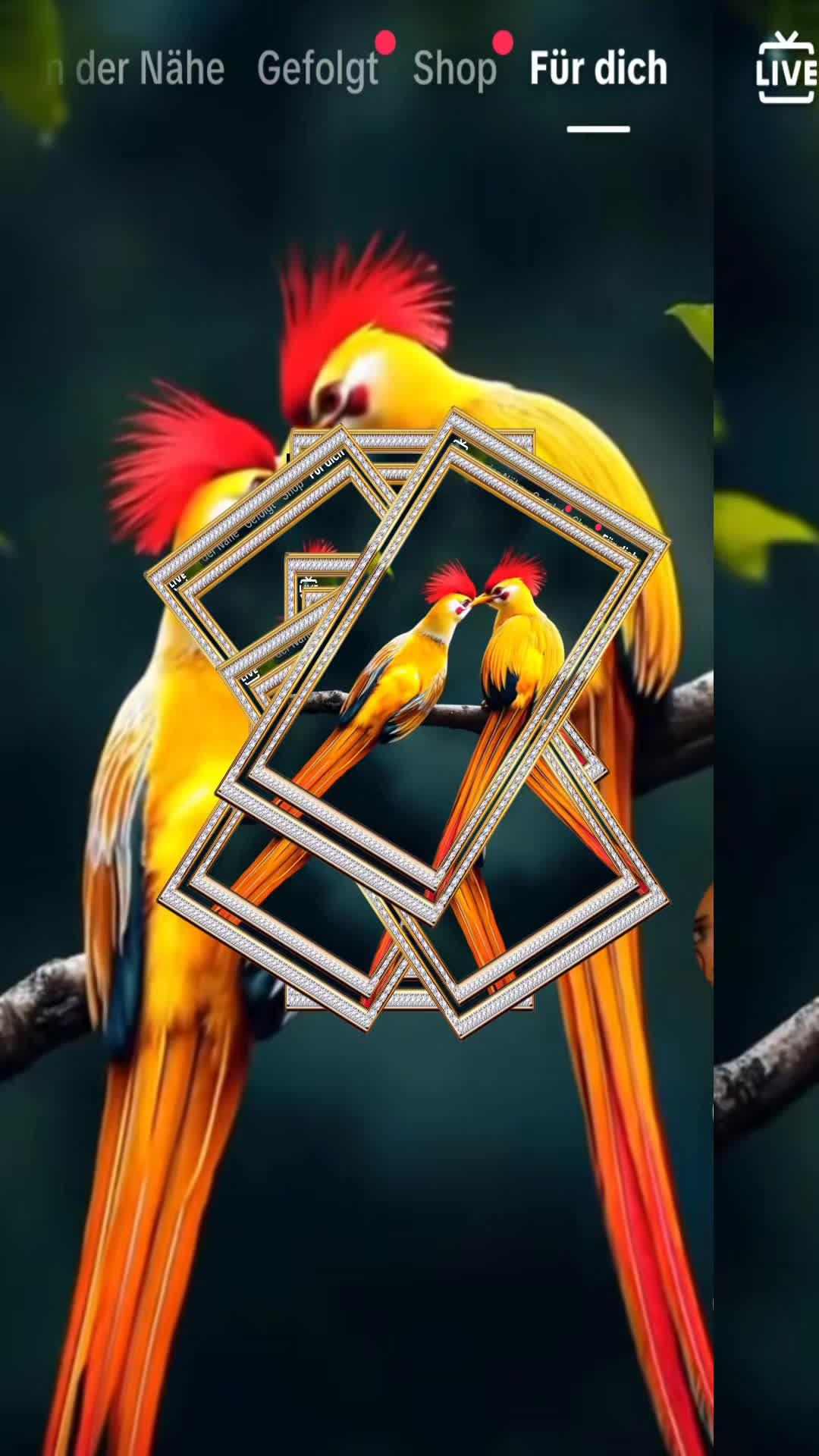@سلطان قلب ها