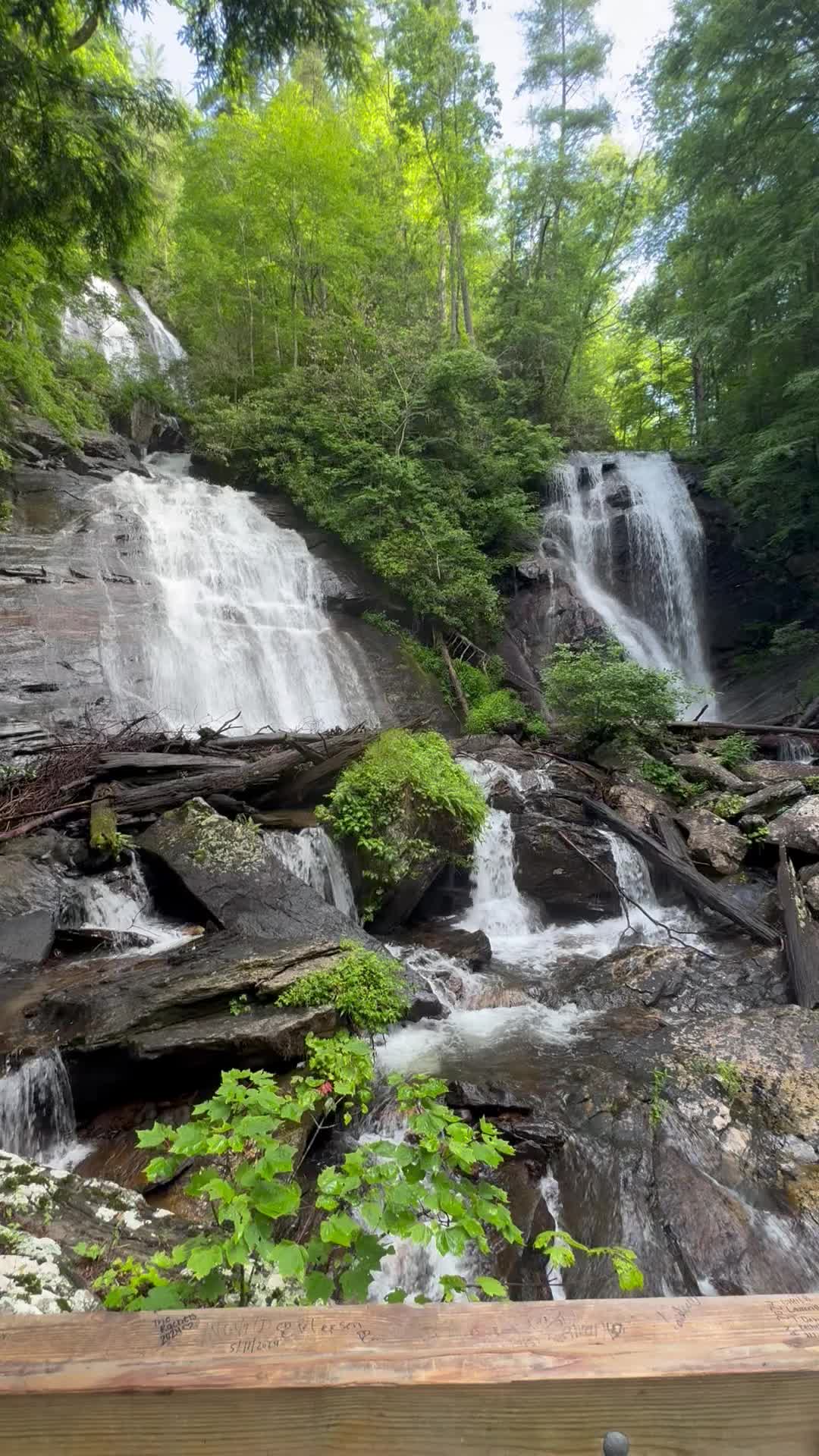 @Ricky Frye