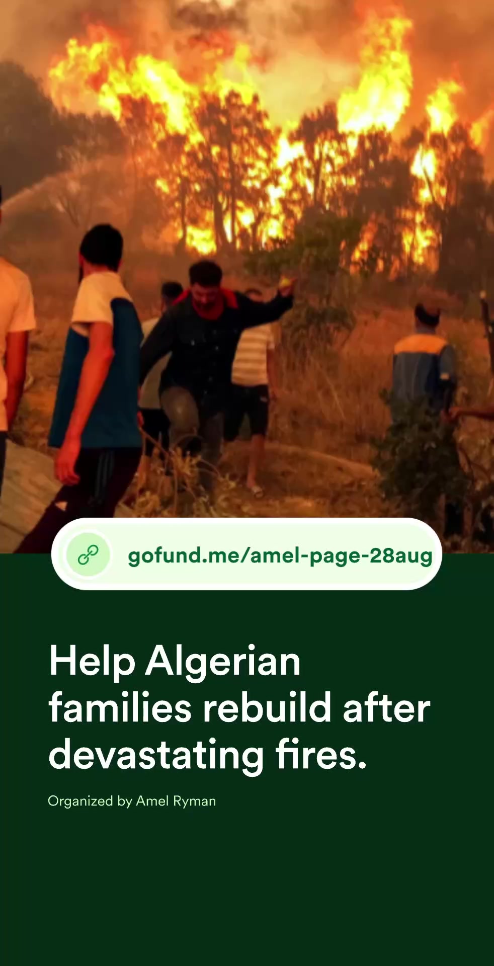 @🇩🇿 ⵣTanina_Tawaɣlist 🇺🇲