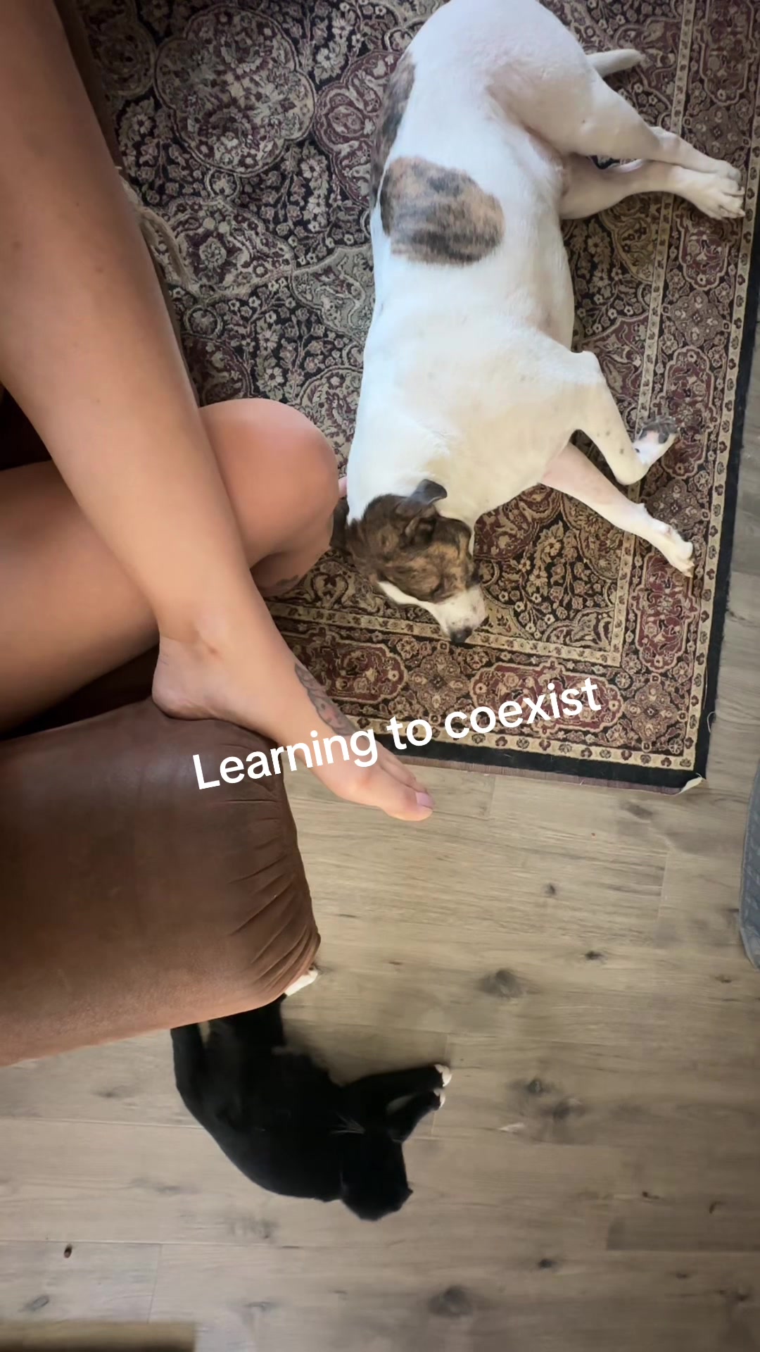 @thosemindfulvibes