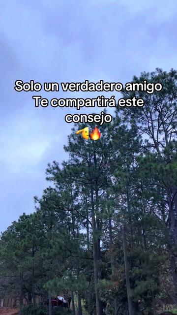 @IMPERIO_079💚🦖
