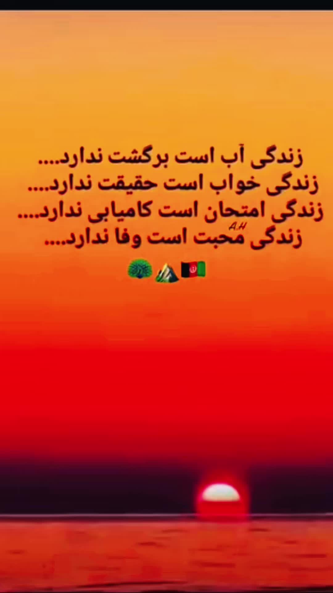 @Sara Hashimi