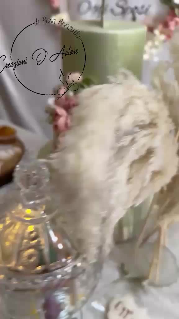 @Rosa Renzullo