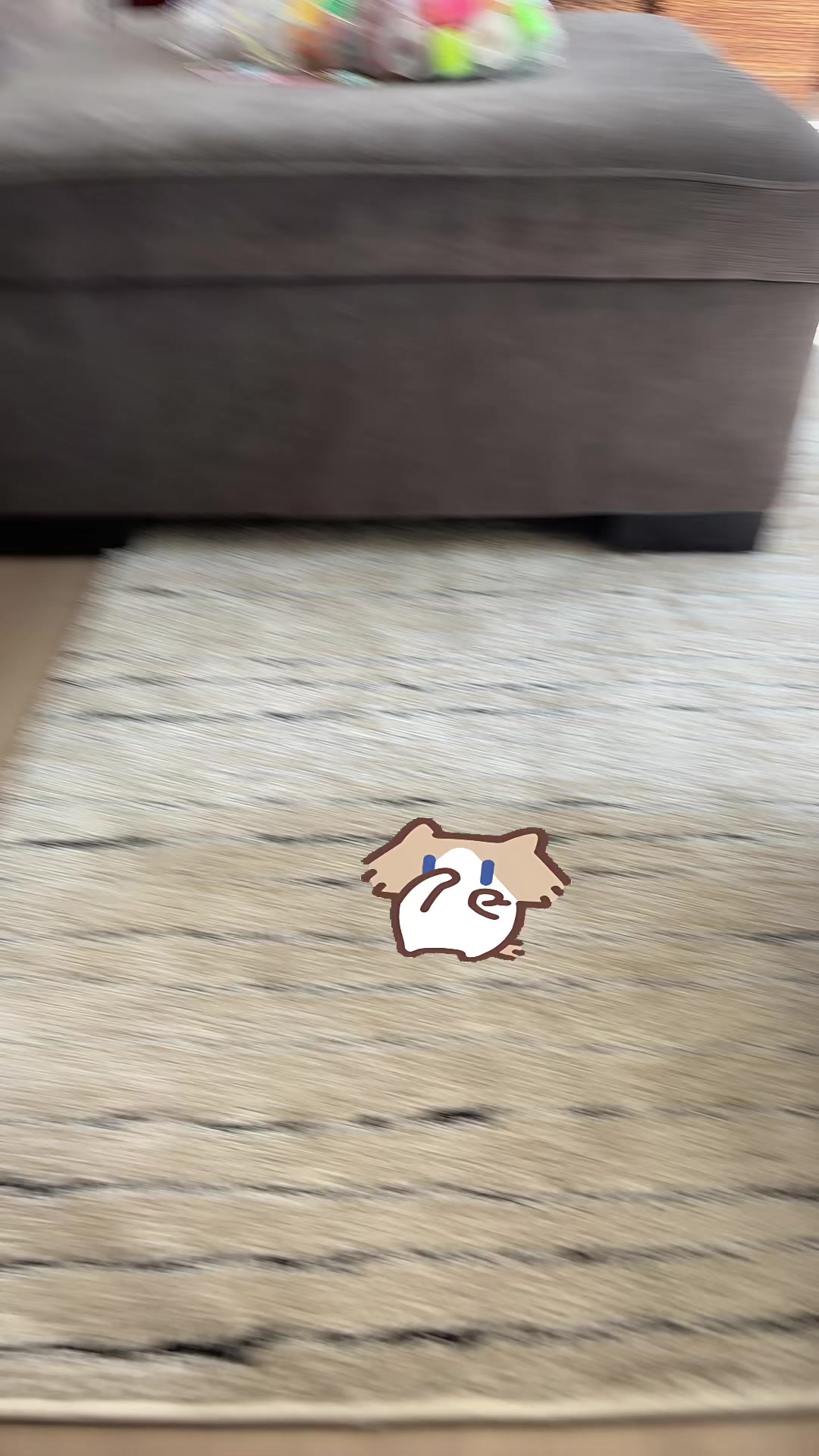 @𝒜𝒫𝟑